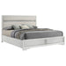Miranda Beds 2 - Wayne's Fine Furniture & Bedding (Jacksonville,FL)
